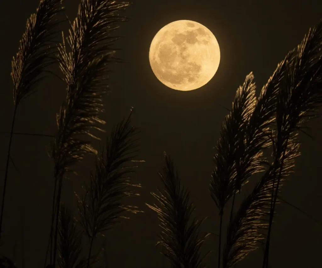 moon