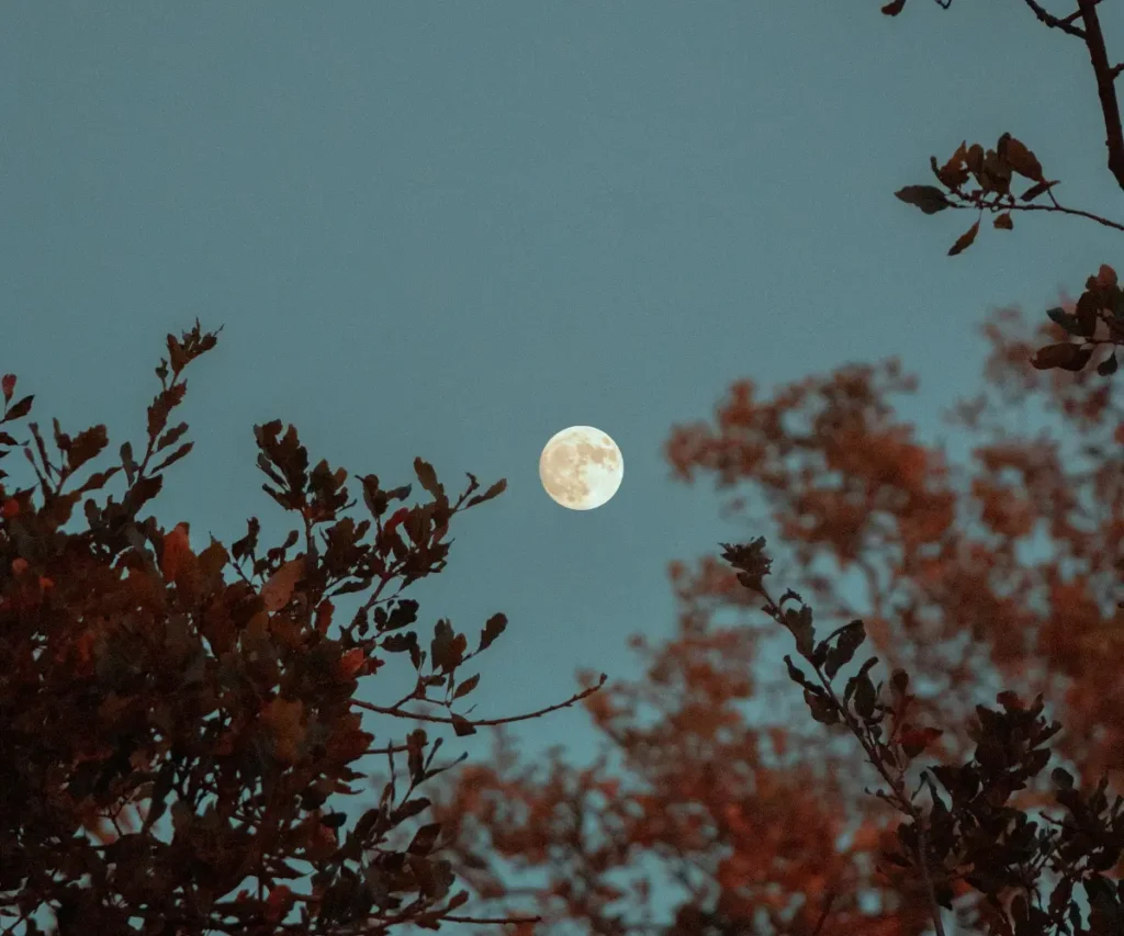 moon
