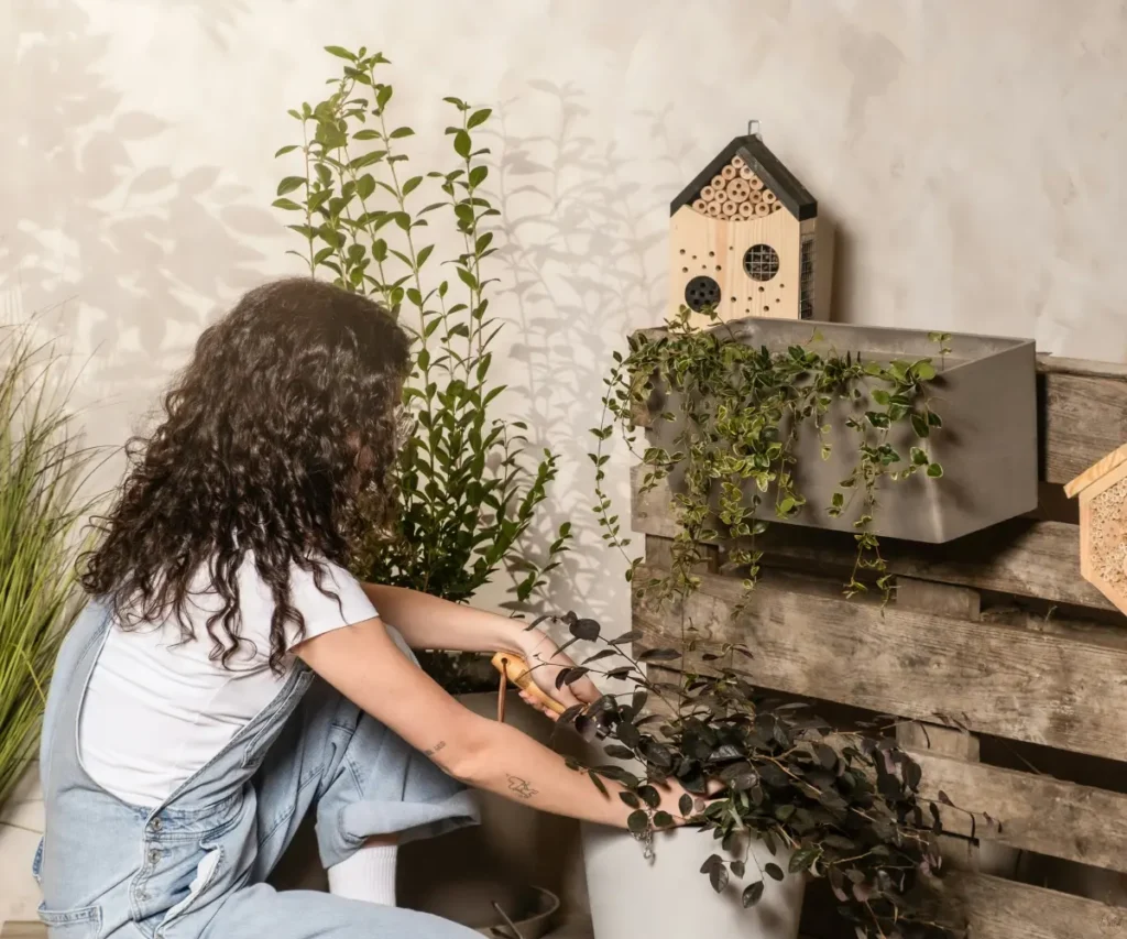 woman watering plants