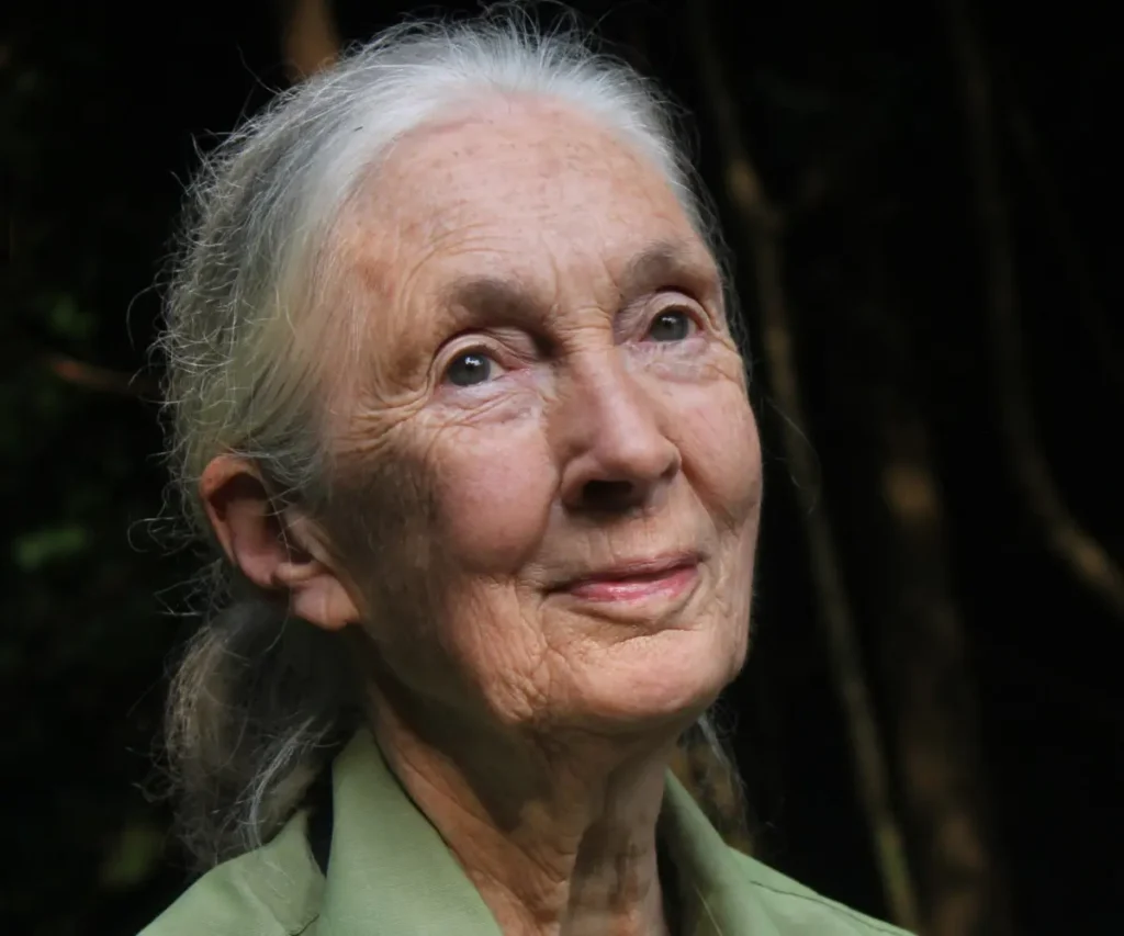 Jane Goodall
