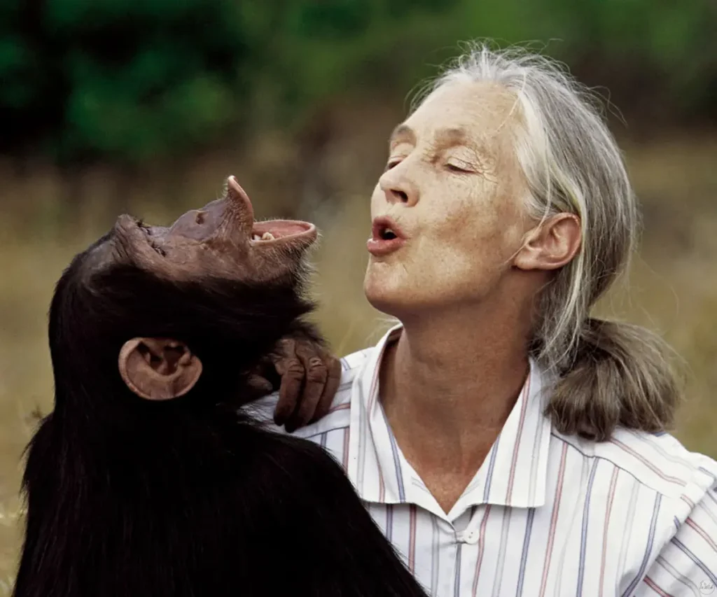 Jane Goodall