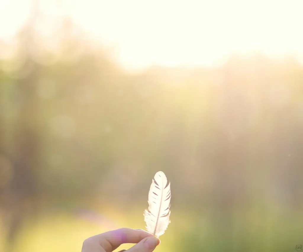 feather