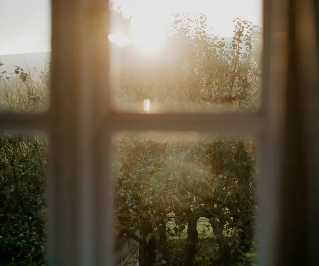 morning light